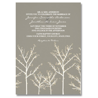 Winter Christmas Lights Wedding Invitations